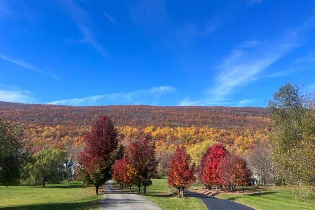 Malkita'S Mountain View Villa Woodbury  Екстериор снимка
